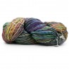 Włóczka Rasta Arco Iris 866 (Malabrigo)