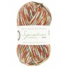 Signature 4ply Yuletide 1208 (West Yorkshire Spinners)