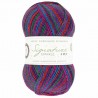 Signature 4ply Vintage Tinsel 1051 (West Yorkshire Spinners)