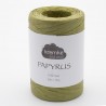 Papyrus 58 reed (Kremke)