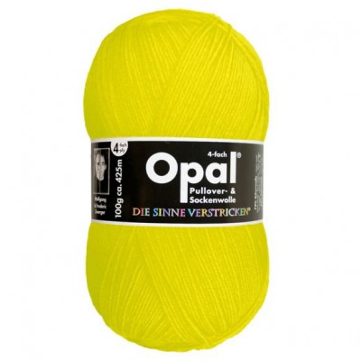 Włóczka Opal Neon 2012