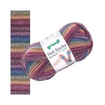 Włóczka Hot Socks Riviera 05 (Gründl)