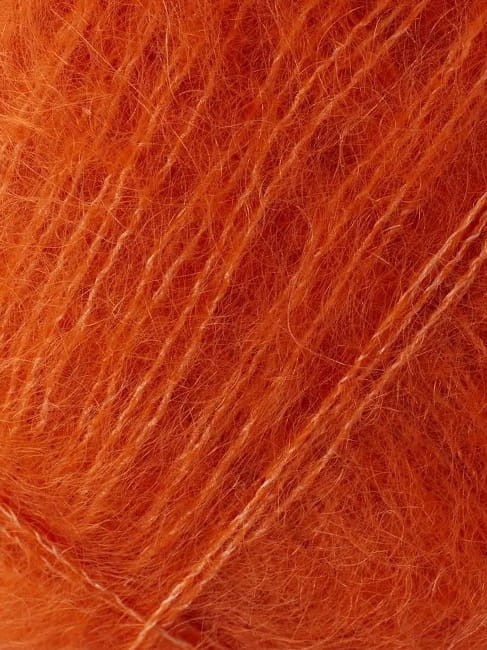 362.jpg