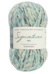 Signature 4ply 1242 Chalkhill Blue (West Yorkshire Spinners)