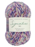 Signature 4ply 1244 Purple Emperorl (West Yorkshire Spinners)