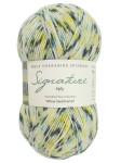 Signature 4ply 1245 Yellow Swallowtail (West Yorkshire Spinners)