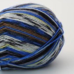 Włóczka Socks & More 4 pl 2460 (Arne & Carlos)