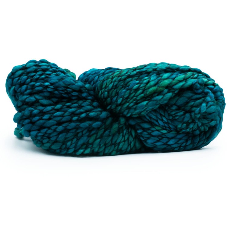 caracol_teal_feather.jpg