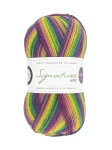 Signature 4ply 872 Wildflower (West Yorkshire Spinners)