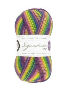 wys-signature-4ply-y-wildflower-872-winwick-mum-1a-v-72.webp