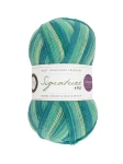 Signature 4ply 873 Seascape (West Yorkshire Spinners) 