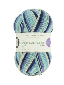 wys-signature-4ply-y-winter-icicle-878-winwick-mum-1a-v-72.webp