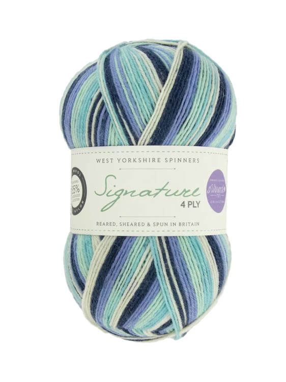wys-signature-4ply-y-winter-icicle-878-winwick-mum-1a-v-72.webp