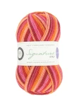 Signature 4ply 881 Summer Sunset (West Yorkshire Spinners)