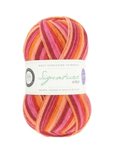 wys-signature-4ply-y-summer-sunset-881-winwick-mum-1a-v-72.webp
