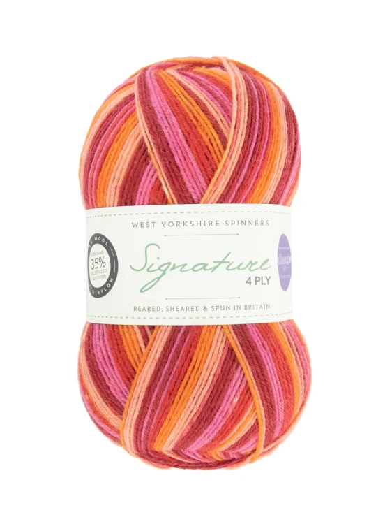 wys-signature-4ply-y-summer-sunset-881-winwick-mum-1a-v-72.webp
