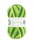 Signature 4ply 882 Spring Green (West Yorkshire Spinners)