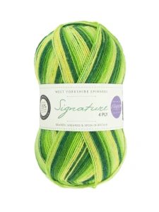 wys-signature-4ply-y-spring-green-882-winwick-mum-1a-v-72.webp