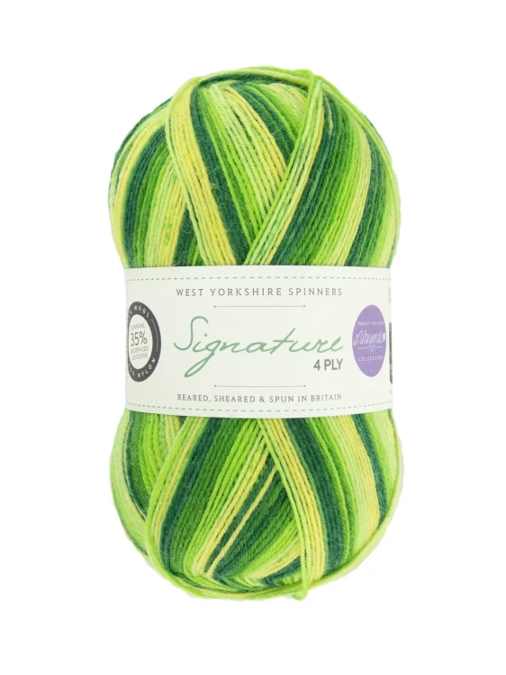 wys-signature-4ply-y-spring-green-882-winwick-mum-1a-v-72.webp