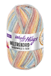 Włóczka Weltrekord  02 (Woolly Hugs)