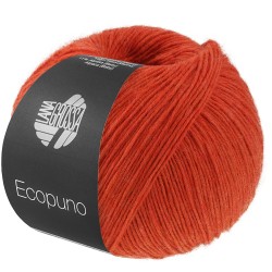 ecopuno-lana-grossa-13310230_K.jpg