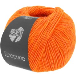ecopuno-lana-grossa-13310089_K.jpg