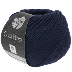 lana-grossa-cool-wool-414.jpg