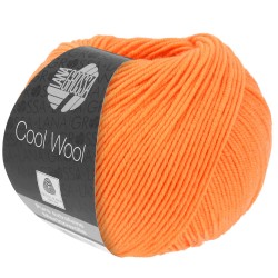 lana-grossa-cool-wool-418.jpg