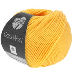 lana-grossa-cool-wool-419.jpg
