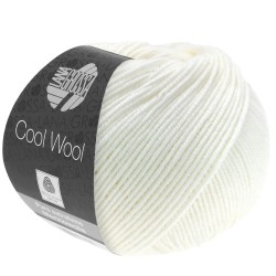 lana-grossa-cool-wool-431.jpg