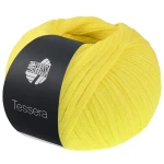 Włóczka Tessera 04 (Lana Grossa)