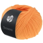 Włóczka Tessera 06 (Lana Grossa)