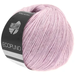 ecopuno08.jpg