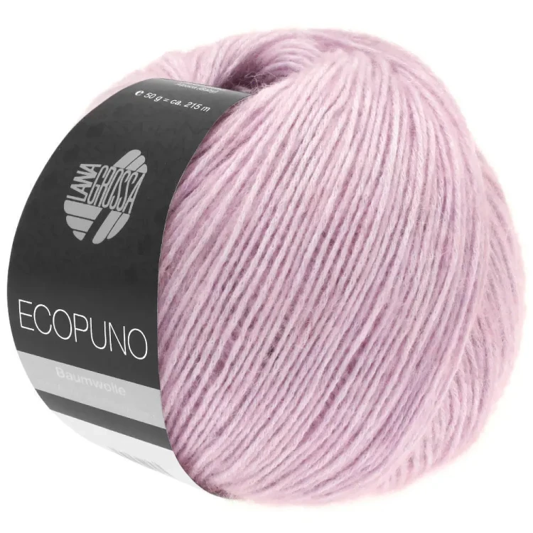ecopuno08.jpg