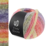 Włóczka Cosy Socks Dream 251 (Lana Grossa)