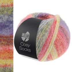 cosy-socks-dream-lana-grossa-12180251_K.jpg