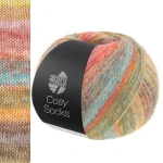 Włóczka Cosy Socks Dream 253 (Lana Grossa)