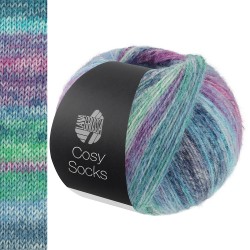 cosy-socks-dream-lana-grossa-255.jpg