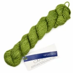 Włóczka Caprino Lettuce (Malabrigo)