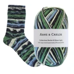 Włóczka Socks & More 4 ply 3002 Arne & Carlos
