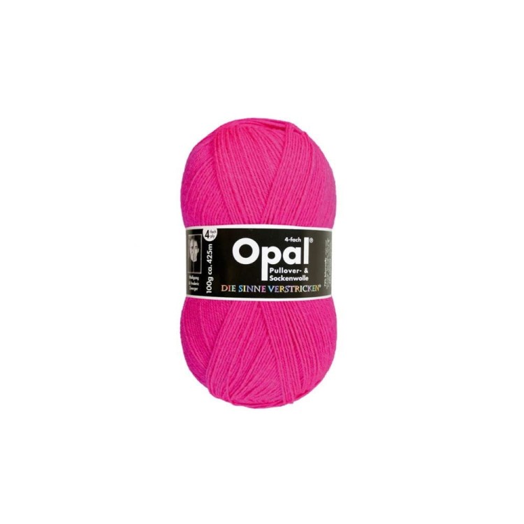 Włóczka Opal Neon 2010