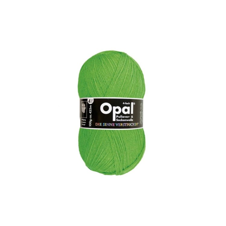Włóczka Opal Neon 2011