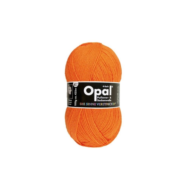 Włóczka Opal Neon 2013