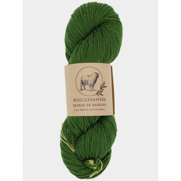 Włóczka Dehesa de Barrera DK 0323 Olivo en Diciembre (WoolDreamers)
