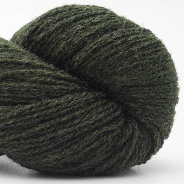 Włóczka Bio Shetland GOTS 08 forest green (BC GARN)