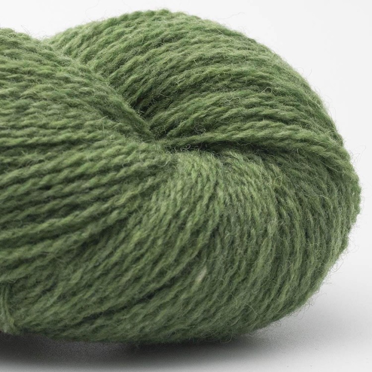 Włóczka Bio Shetland GOTS 57 meadow (BC GARN)