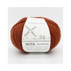 Włóczka Mota 246 (Wooldreamers)