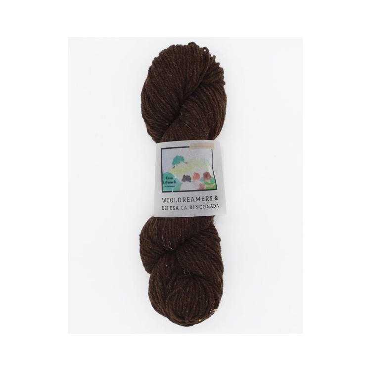 Włóczka La Rinconada Cacao Natural (WoolDreamers) spr