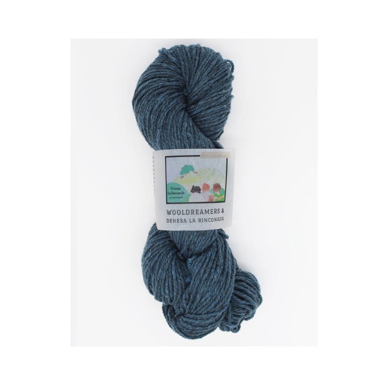 Włóczka La Rinconada Azul Granito (WoolDreamers) spr