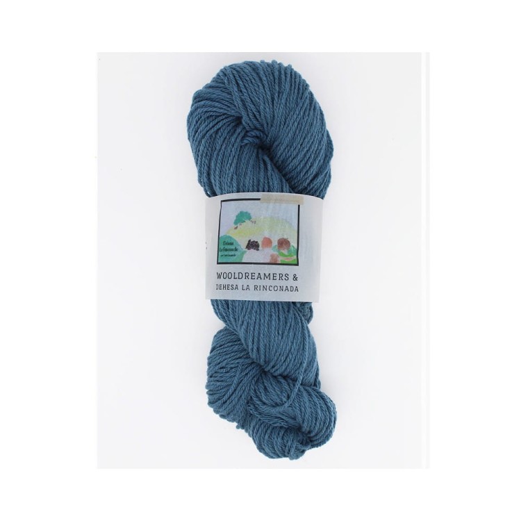 Włóczka La Rinconada Azul Blanco (WoolDreamers) spr